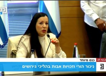 ח"כ טלי גוטליב: "באתי לעבוד בשביל הילדים"